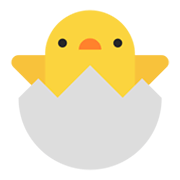 Emoji 🐣 Pulcino Che Nasce su Microsoft Windows 11 November 2021 Update.
