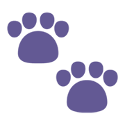 Emoji 🐾 Impronte Di Zampe su Microsoft Windows 11 November 2021 Update.