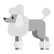 🐩 Emoji Poodle na Microsoft Windows 11 November 2021 Update.