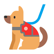 Emoji 🐕‍🦺 Cane Da Assistenza su Microsoft Windows 11 November 2021 Update.