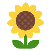 Emoji 🌻 Girasole su Microsoft Windows 11 November 2021 Update.