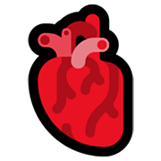 🫀 Emoji Coração Humano na Microsoft Windows 11.