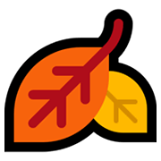Emoji 🍂 Foglia Caduta su Microsoft Windows 11.