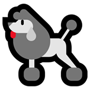 Emoji 🐩 Barboncino su Microsoft Windows 11.