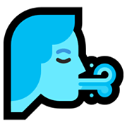 Emoji 🌬️ Vento su Microsoft Windows 11.