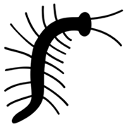🐛 Emoji Insecto en Microsoft Windows 8.0.