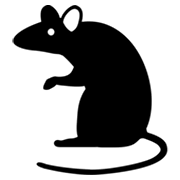 Émoji 🐀 Rat sur Microsoft Windows 8.0.