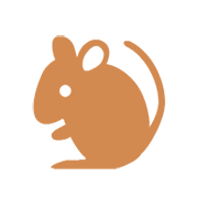 Emoji 🐁 Topo su Microsoft Windows 8.1.