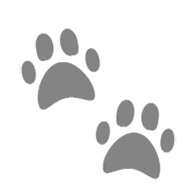 Emoji 🐾 Impronte Di Zampe su Microsoft Windows 8.1.