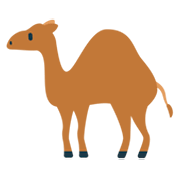 Camelo Mozilla Firefox OS 2.5.