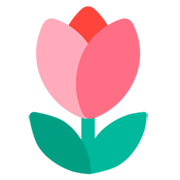 🌷 Emoji Tulipa na Mozilla Firefox OS 2.5.