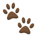 Emoji 🐾 Impronte Di Zampe su Samsung Experience 8.0.