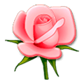 Emoji 🌹 Rosa su Samsung Experience 8.0.