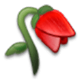 🥀 Emoji Flor Marchita en Samsung Experience 8.0.