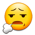 😧 Emoji qualvolles Gesicht Samsung Experience 8.1.