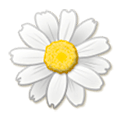 🌼 Emoji gelbe Blüte Samsung Experience 8.1.