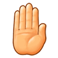 🤚 Emoji erhobene Hand von hinten Samsung Experience 8.5.