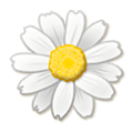 Emoji 🌼 Fiore su Samsung Experience 9.0.