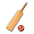 Émoji 🏏 Cricket sur Samsung Experience 9.0.