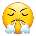 Emoji 😤 Faccina Che Sbuffa su Samsung Experience 9.0.