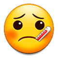 🤒 Emoji Gesicht mit Fieberthermometer Samsung Experience 9.0.