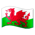 🏴󠁧󠁢󠁷󠁬󠁳󠁿 Emoji Flagge: Wales Samsung Experience 9.1.