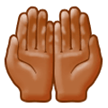 🤲🏾 Emoji Handflächen nach oben: mitteldunkle Hautfarbe Samsung Experience 9.1.