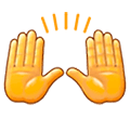 🙌 Emoji zwei erhobene Handflächen Samsung Experience 9.1.