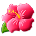 🌺 Emoji Flor De Hibisco en Samsung Experience 9.5.