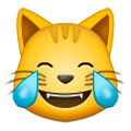 😹 Emoji Rosto De Gato Com Lágrimas De Alegria na Samsung One UI 1.0.