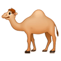 🐪 Emoji Camelo na Samsung One UI 1.0.