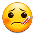 🤒 Emoji Gesicht mit Fieberthermometer Samsung One UI 1.0.