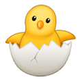 Emoji 🐣 Pulcino Che Nasce su Samsung One UI 1.0.