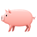 🐖 Emoji Schwein Samsung One UI 1.0.