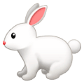 🐇 Emoji Conejo en Samsung One UI 1.0.