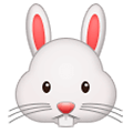 🐰 Emoji Cara De Conejo en Samsung One UI 1.0.