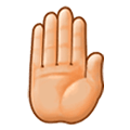 Emoji 🤚🏼 Dorso Mano Alzata: Carnagione Abbastanza Chiara su Samsung One UI 1.0.
