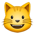 😺 Emoji grinsende Katze Samsung One UI 1.0.