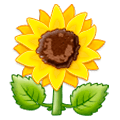 🌻 Emoji Sonnenblume Samsung One UI 1.0.