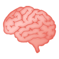 Emoji 🧠 Cervello su Samsung One UI 1.5.