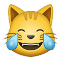 Emoji 😹 Gatto Con Lacrime Di Gioia su Samsung One UI 1.5.