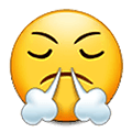 😤 Emoji Rosto Soltando Vapor Pelo Nariz na Samsung One UI 1.5.