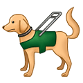 Emoji 🦮 Cane Guida su Samsung One UI 1.5.