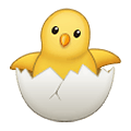 🐣 Emoji Pollito Rompiendo El Cascarón en Samsung One UI 1.5.