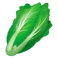 Émoji 🥬 Légume à Feuilles Vertes sur Samsung One UI 1.5.