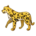 Emoji 🐆 Leopardo su Samsung One UI 1.5.