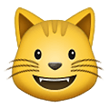 😺 Emoji grinsende Katze Samsung One UI 1.5.