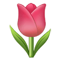 🌷 Emoji Tulipán en Samsung One UI 1.5.