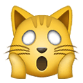 🙀 Emoji Rosto De Gato Desolado na Samsung One UI 1.5.