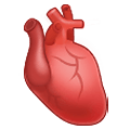 🫀 Emoji Coração Humano na Samsung One UI 2.5.
